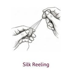 Silk Reeling