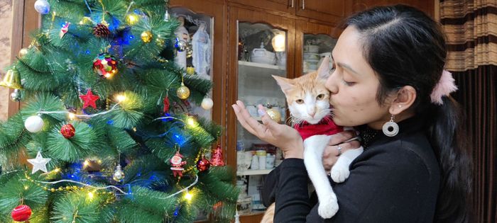 Me holding my cat by a Christmas tree