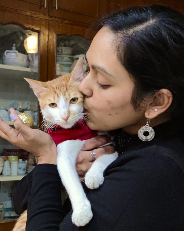 Anju kissing a ginger and white cat in a red sweater
