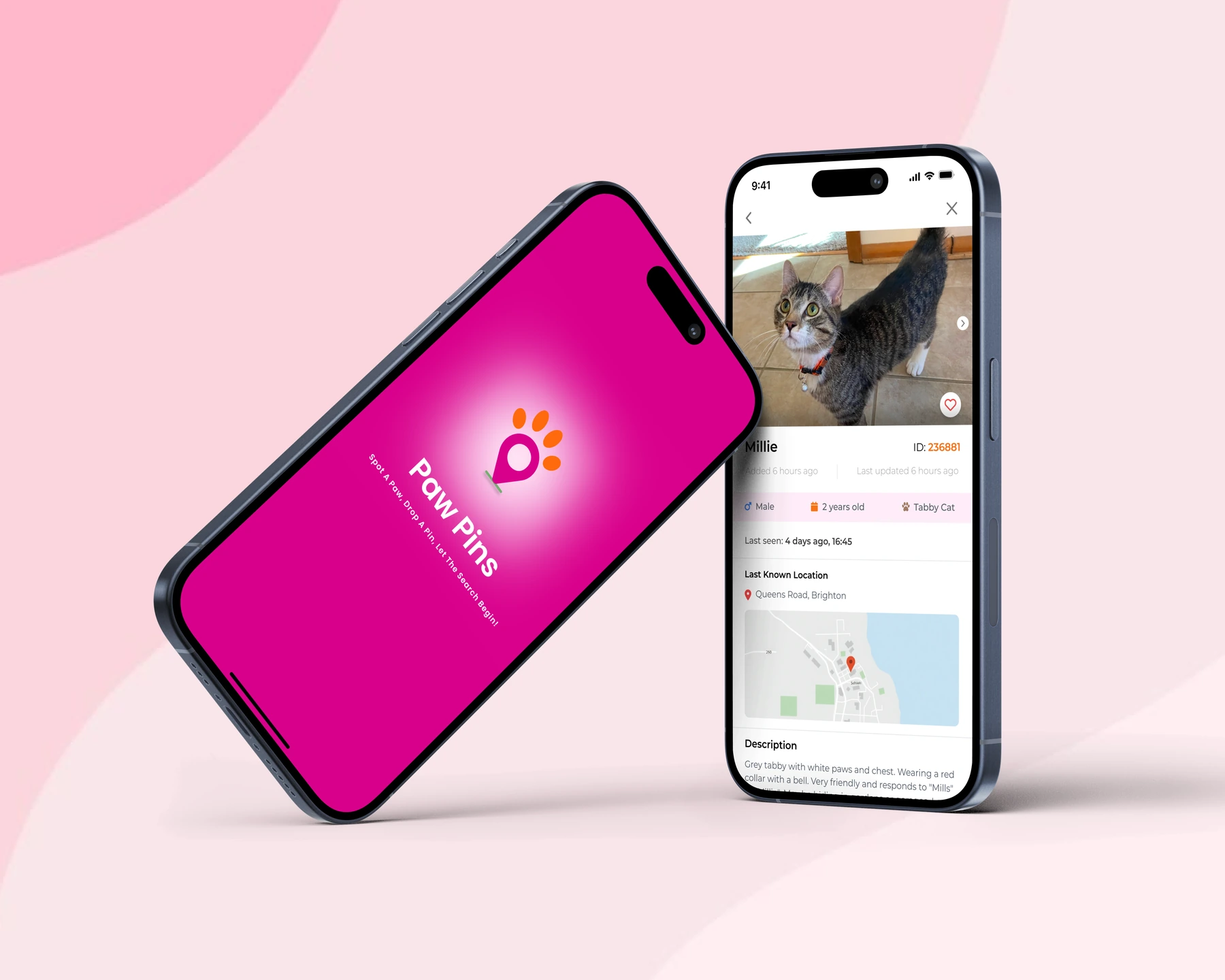 Paw Pins app on two phones: the splash screen and a missing-cat profile